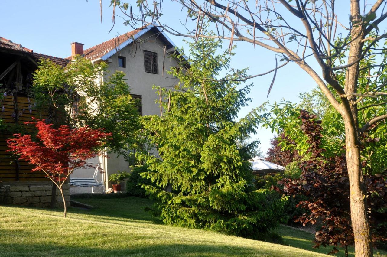 Guesthouse Djuric Negotin Exterior foto