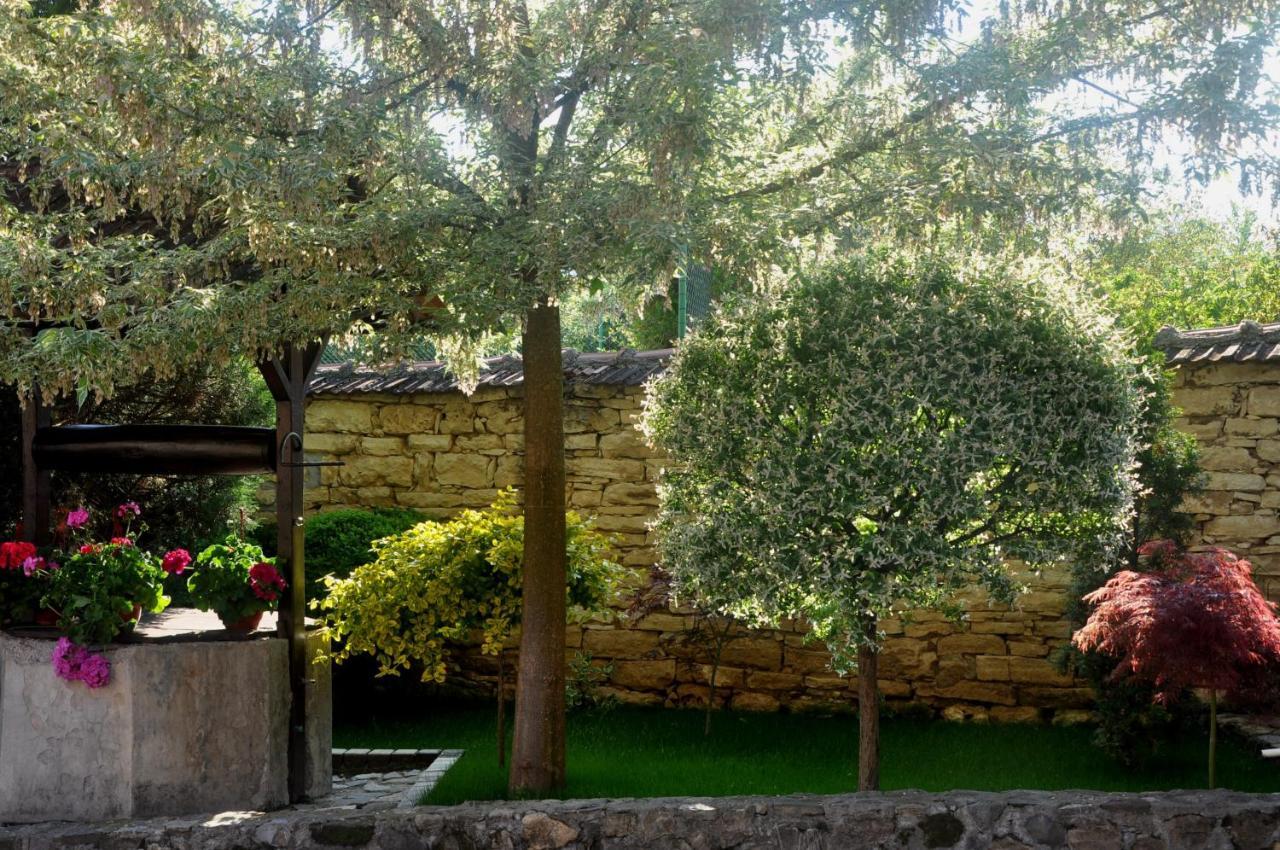 Guesthouse Djuric Negotin Exterior foto